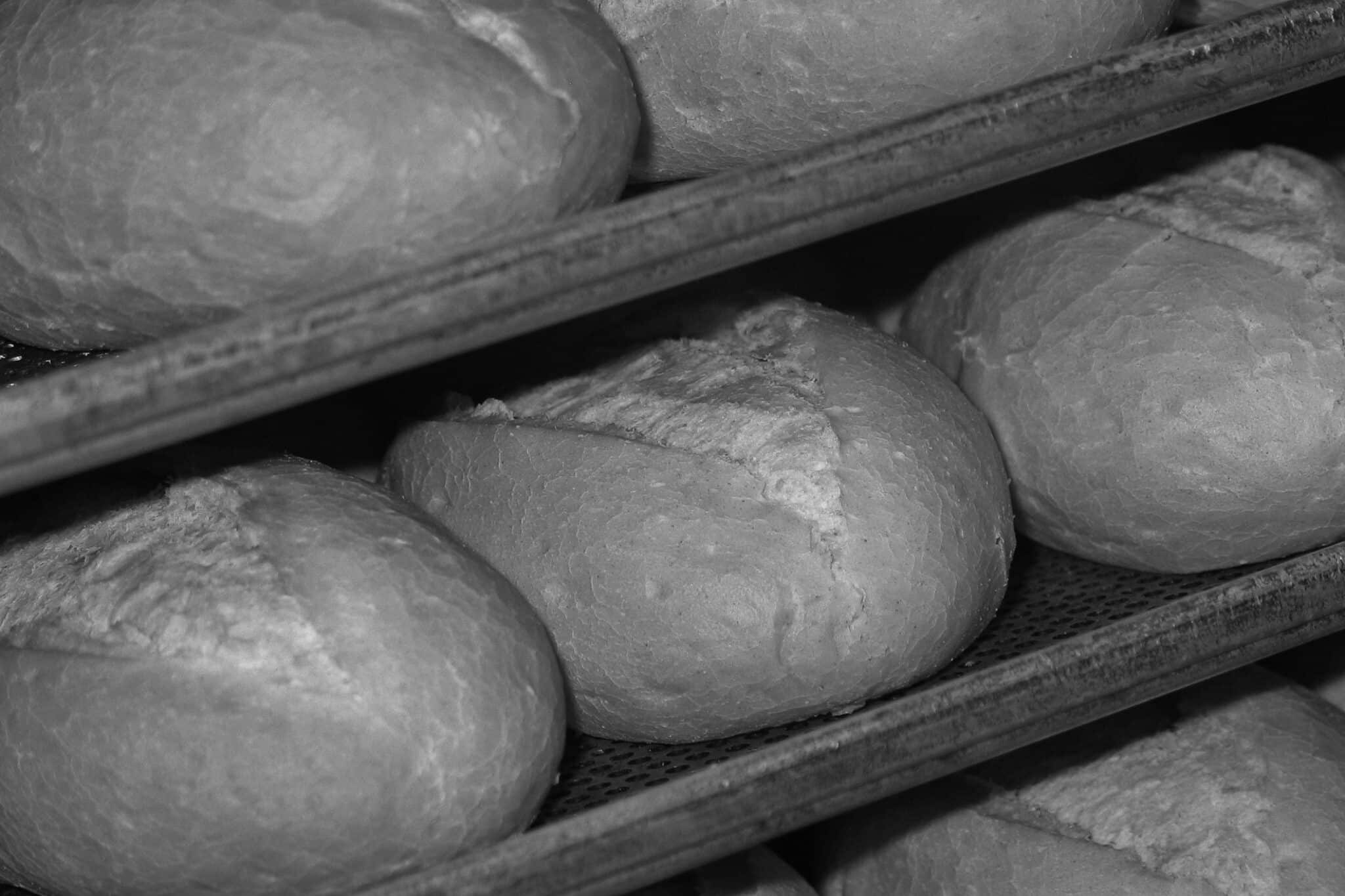 Maladie Boulangerie Pâtisserie