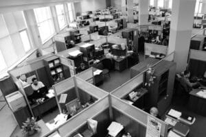La responsabilité environnementale des entreprises