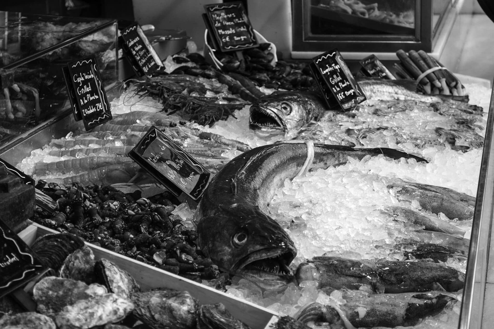 Durée Préavis mise à la retraite CCN Poissonnerie
