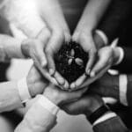intéressement dans les TPE
