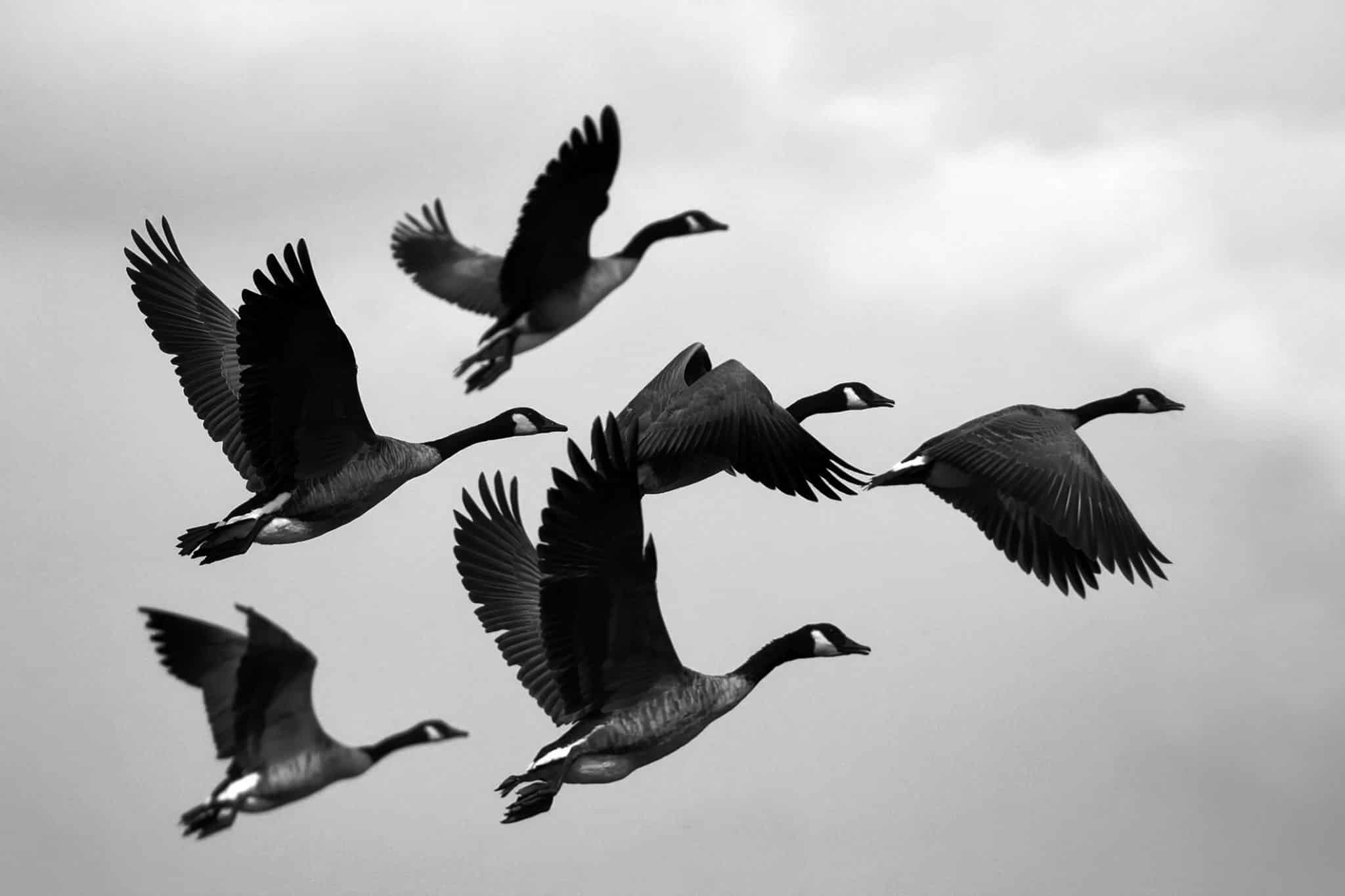 demande de formation