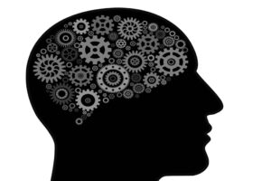 Le cerveau humain