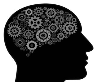 Le cerveau humain