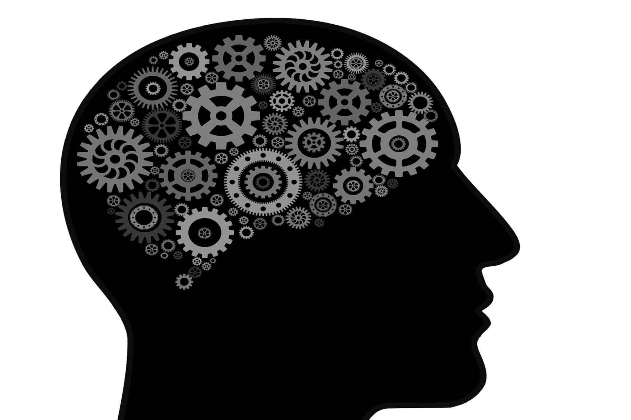 Le cerveau humain