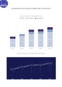 politique de rémunération,Le bilan social individuel,BSI